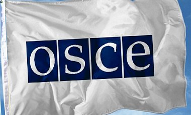 Парламентская ассамблея ОБСЕ требует прекратить огонь в Донбассе