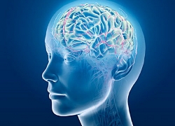 Ученые выяснили, как мозг человека «путешествует в прошлое»