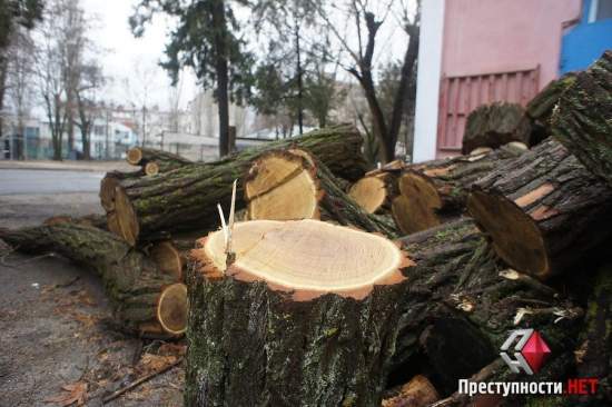 Николаевцы жалуются на незаконную вырубку деревьев в жилом массиве Заводского района