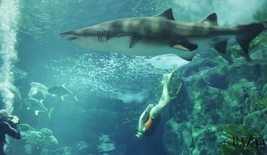 Рианна устроила заплыв с акулами