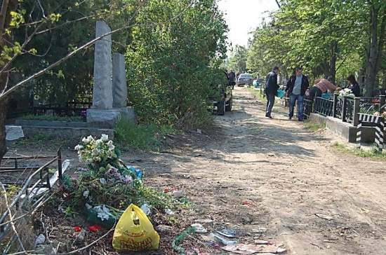 Почти 1,5 миллиона гривен будет потрачено из бюджета Николаева на уход за деревьями на кладбищах