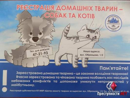 «Мы рассчитываем стать прибыльным предприятием», - Николаевское КП «Центр защиты животных» будет предоставлять ряд платных услуг