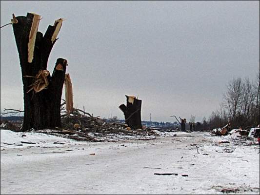 Под Столбцами разрушают уникальную мощеную дорогу