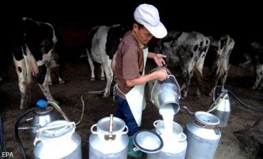 Канада инвестирует в молочные кооперативы Львовской области