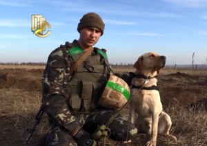 Видеофакт: собаки на военной службе в АТО