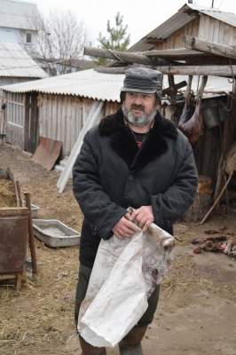 Под Станицей Луганской боевики «ЛНР» пустили отару овец фермера «на шашлык» (фото)