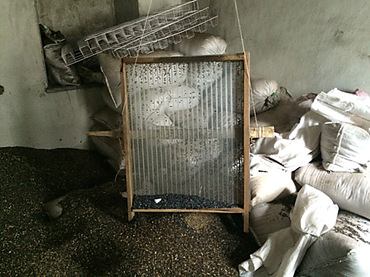 На Николаевщине выявили подпольный цех по производству «контрафактных» семян