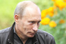 Песков раскрыл причину побед Путина в рейтингах