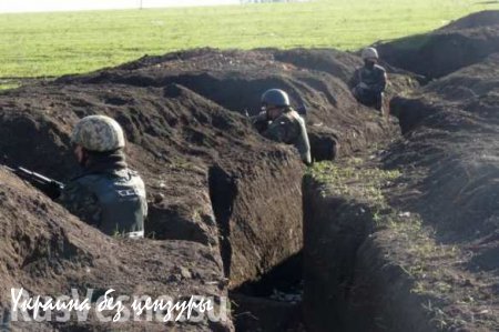 ВСУ готовятся к штурму Донбасса: ведут разведку боем, обстреливают ополчение и окапываются на стратегических направлениях