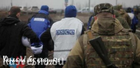 Представители ОБСЕ и Киева приехали в зону боевых действий проверять нарушение режима тишины