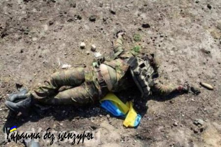 Украинские каратели жестоко уничтожают останки своих вояк. Чтобы и следа не осталось