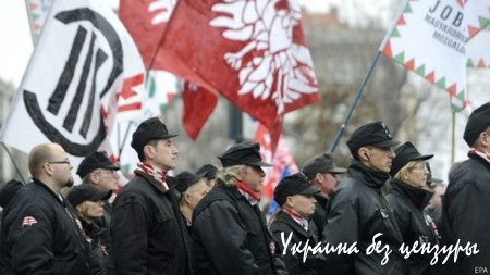Ультраправая партия победила на довыборах в Венгрии