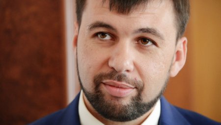 Пушилин: ДНР рассчитывает на поддержку БРИКС в деэскалации конфликта