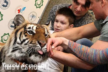 Братья Запашные привели тигрицу в больницу к Ване Воронову (#яВаня) (+ВИДЕО)