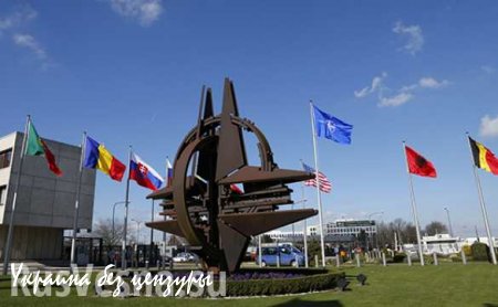 Президент Эстонии раскаивается: он неправильно оценил боеспособность НАТО