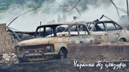Сибирь в огне: лесные пожары добрались до Китая