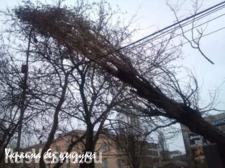 Ураганный ветер оставил без света 284 населенных пункта Украины