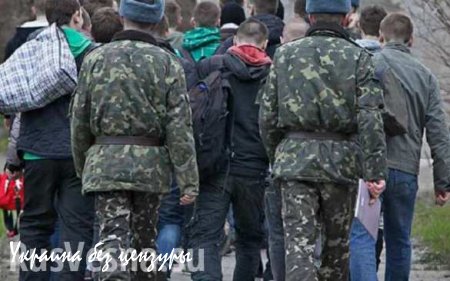 Воскресающий Донецк: дончане возвращаются, предприятия возобновляют прежний темп работы, бьет ключом и культурная жизнь
