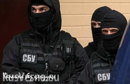 Украинские спецслужбы создают армии из радикалов