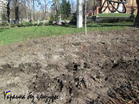 На Украине в парках начали выкапывать растения на продажу (ФОТО)