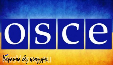 На Украине развернулась кампания нападок на наблюдателей миссии, — зампостпреда РФ при ОБСЕ