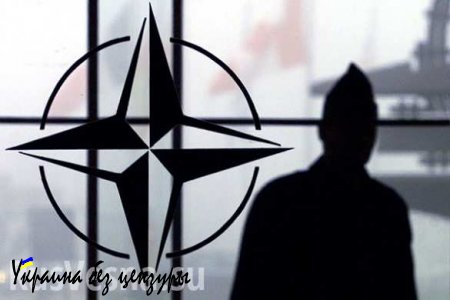 Киев грозит найти замену НАТО