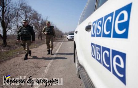 ВСУ готовят провокации под видом миссии ОБСЕ, — начштаба Народной милиции ЛНР (ВИДЕО)