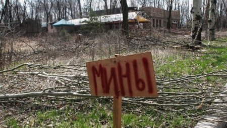 МЧС ДНР: разминирование сельхозугодий в Донбассе займет несколько лет
