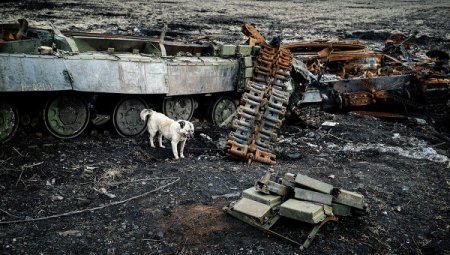 ДНР передала Киеву тела 11 силовиков, погибших под Дебальцево