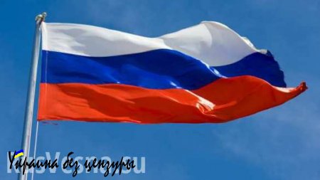 Импорт продуктов питания в Россию сократился на 42,5%