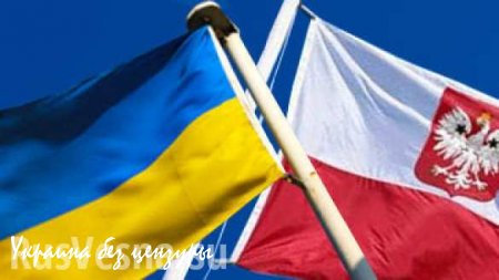 СМИ: поведение украинских мигрантов раздражает жителей Польши