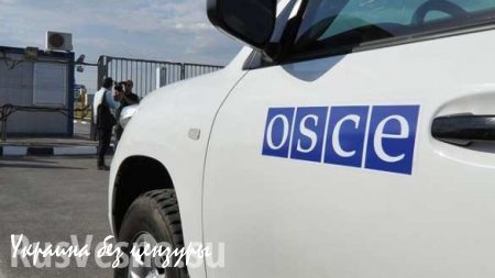 Силовики ДНР получили подтверждение вооруженной провокации ВСУ с использованием символики ОБСЕ
