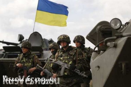 «Широкино — ворота в Украину » — «Оборона Мариуполя» паникует и просит Порошенко не выводить войска из Широкино