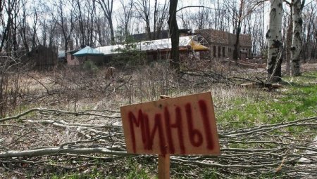МЧС: саперы ДНР вывезли 58 взрывоопасных предметов из Донбасса