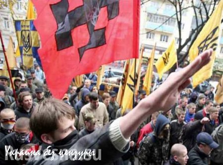 Черниговские неонацисты уничтожили бюст героя освобождения Киева (ВИДЕО)