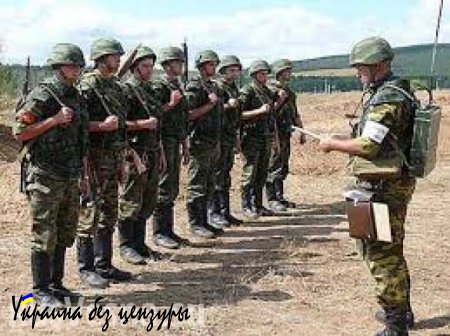 Минобороны: Половина российской армии стала контрактной