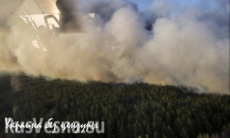 МОЛНИЯ: идет эвакуация жителей из-за пожара вокруг ЧАЭС, — МВД (+ФОТО ПОЖАРА)