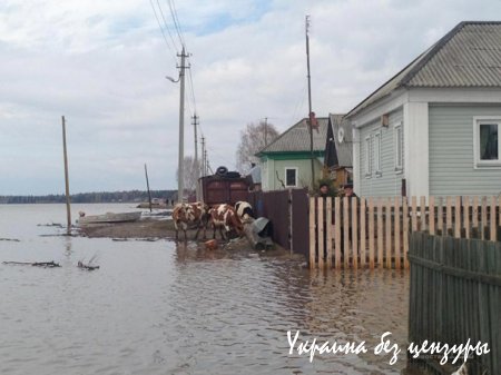 Сибирь накрыл сильный паводок