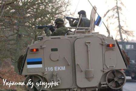В Эстонии призвали расстреливать «зеленых человечков» В Эстонии призвали расстреливать «зеленых человечков»