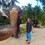 В Таиланде слон сделал селфи с туристом