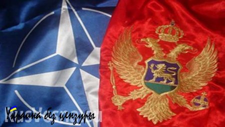 Хроника предательства: Черногория клянется НАТО и ЕС полностью поддерживать антироссийскую политику