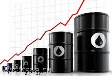 Цена на нефть обновила годовой максимум