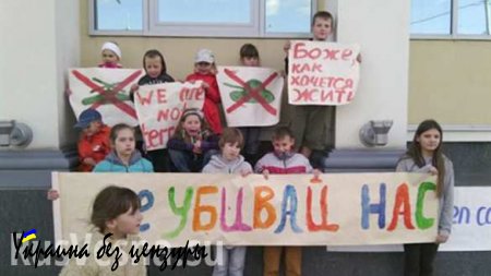 Саратовские волонтеры отправили детям Донбасса 86 тыс. порций мороженого