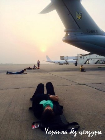 Шкиряк поспал возле взлетной полосы аэропорта Дели