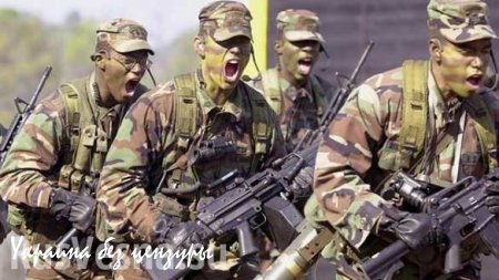 Посол США при НАТО назвал число американских солдат в Европе