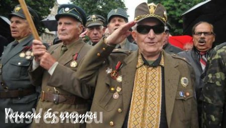 На встречу с «Правым сектором» и престарелыми боевиками УПА привели подставного «ветерана» Красной Армии