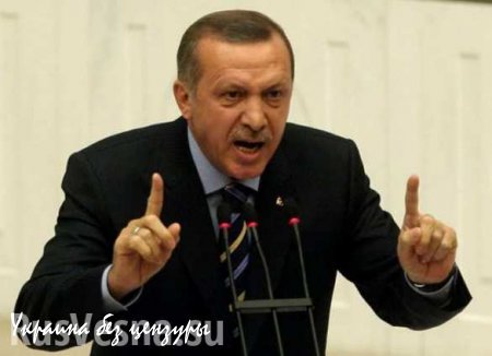 Президент Турции: Анкара готова отозвать посла из Москвы