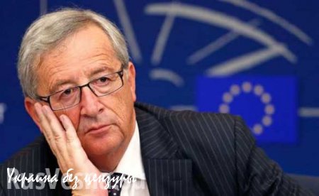 Глава Еврокомиссии: Боевой потенциал ЕС как у курятника