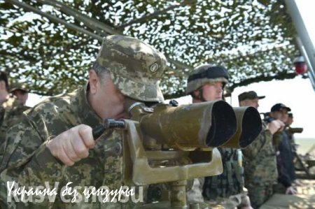 Порошенко признался, что ВСУ использует перемирие для наращивания вооружений