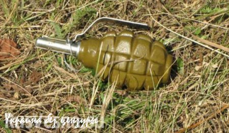 В Запорожской области боец ВСУ подорвался на гранате во время беседы с девушкой